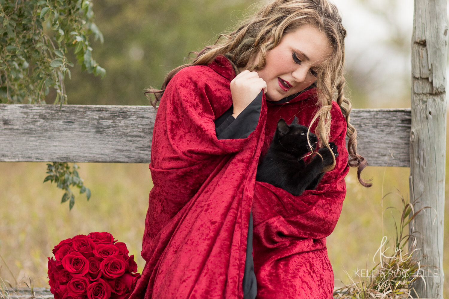 black kitten ~ wrapped in red cape {Williston family photographer}