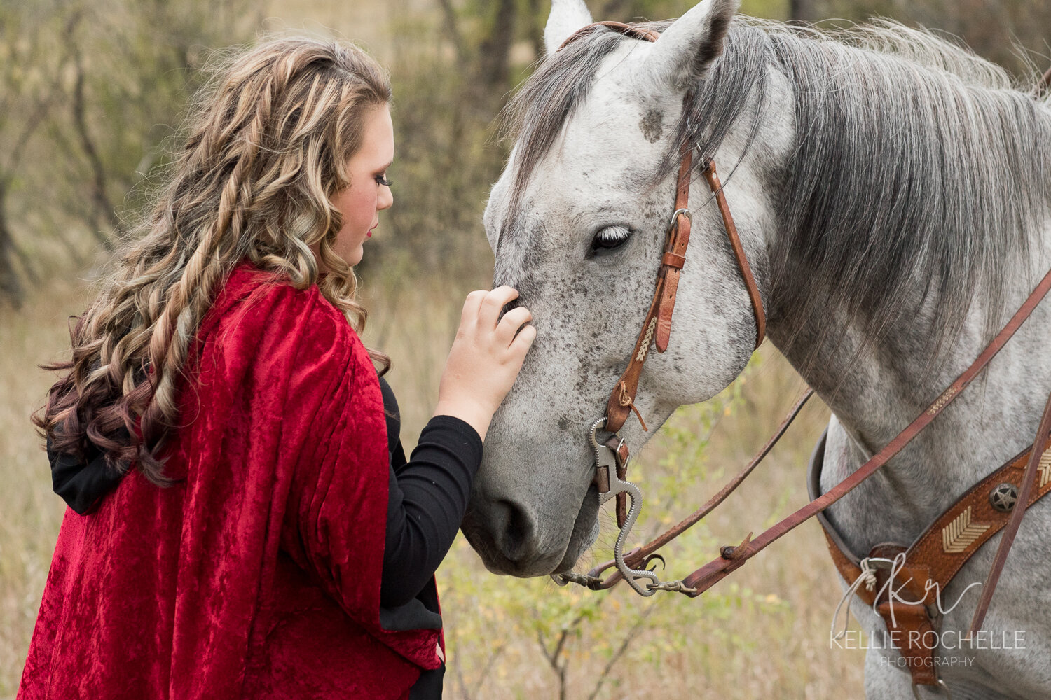Gray horse ~ girl petting horse nose {Williston Styled Shoot Photographer}