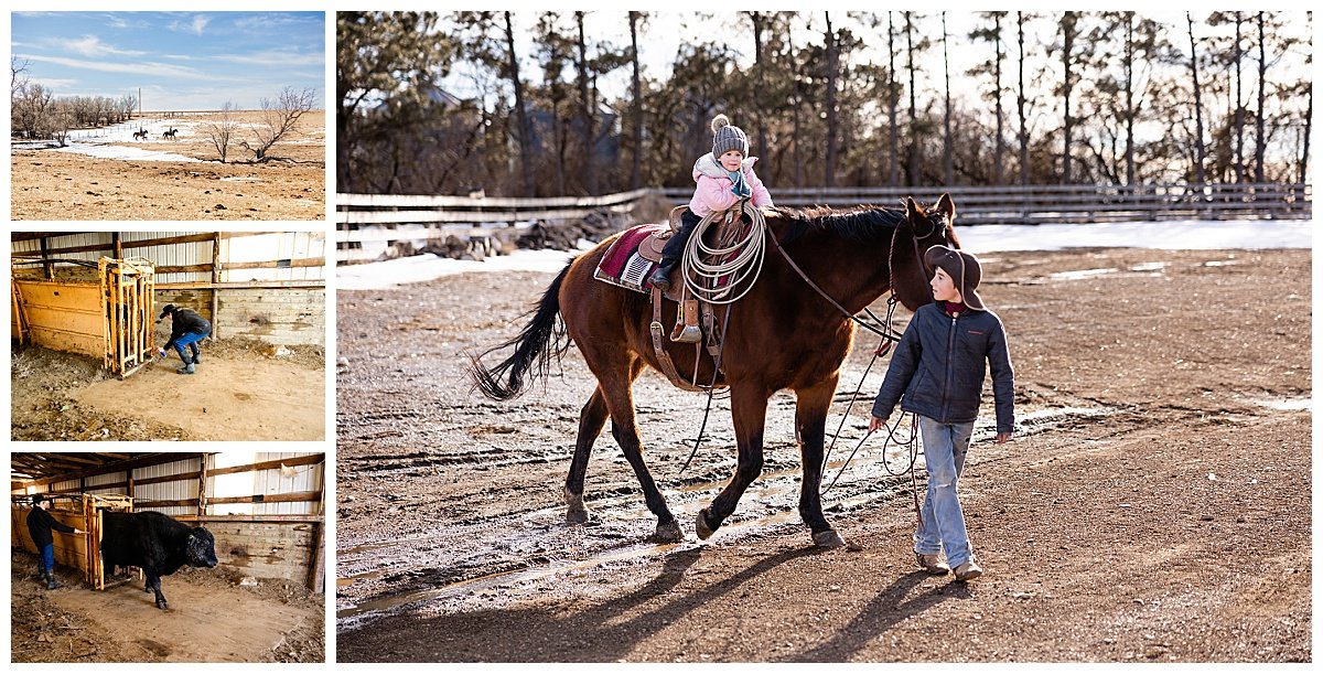 A young girl sits atop a horse led by her older brother on the Richard Angus Ranch in North Dakota.